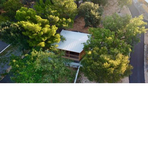 Madria pine house