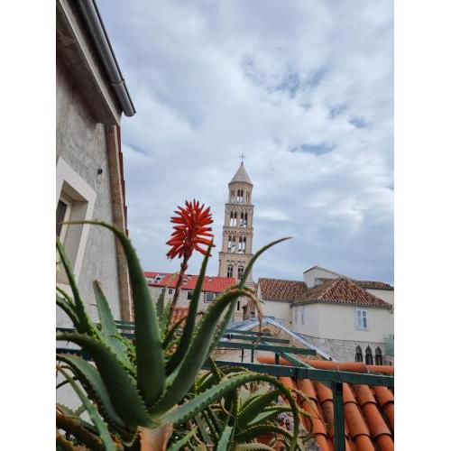 Malena Palace Experience