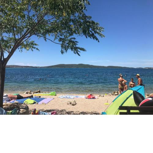 Mare