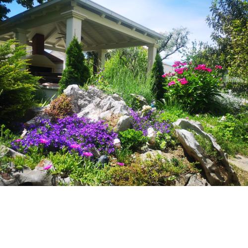 M&M NOVAK Luxury Apartment with award winning garden