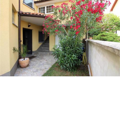 Nice apartment in Pula with 1 Bedrooms and WiFi