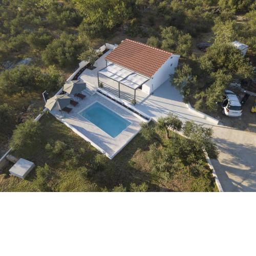 Olive Lounge House