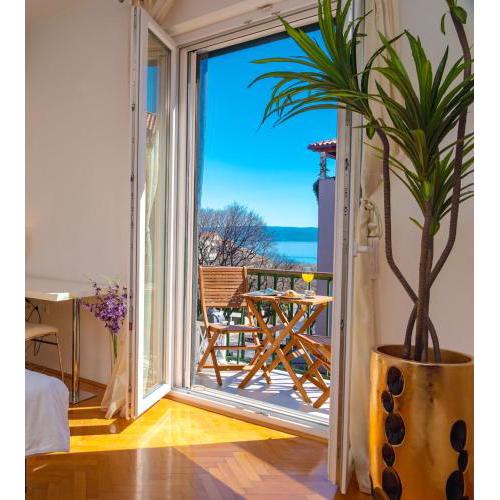 Palomar Luxury Apartment Split