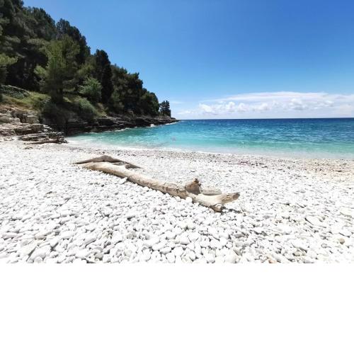 Pearl Apartment Pula