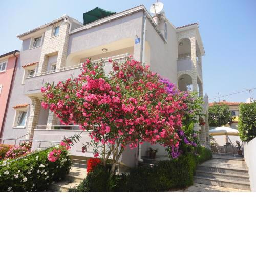 Pejić Apartments