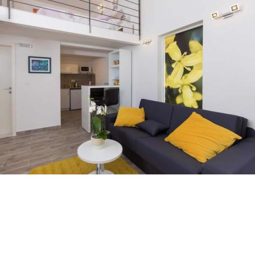 Pomet Superior Studio