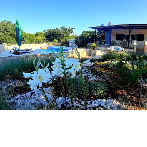 Relaxing Dalmatian house in village