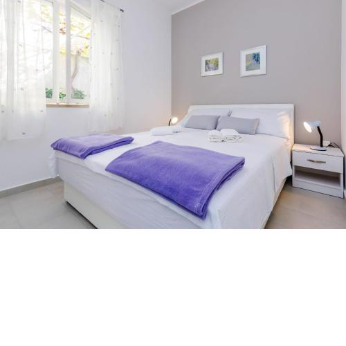 Rooms Batina
