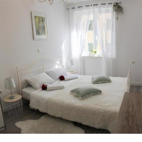 Rooms Zana