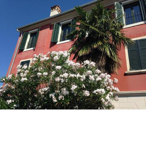 Rovinj's Flowers Apartments