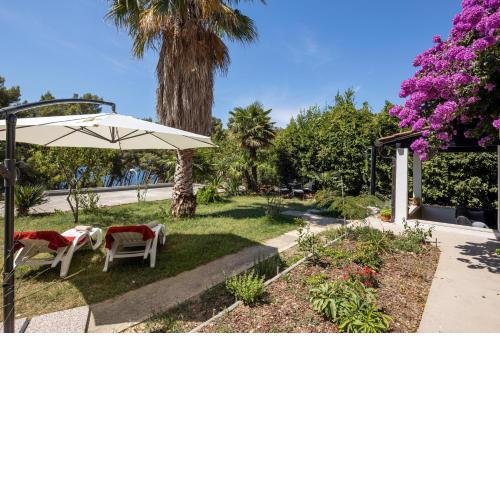 Sea View & Beach Luxury Palm Garden Split Apartment
