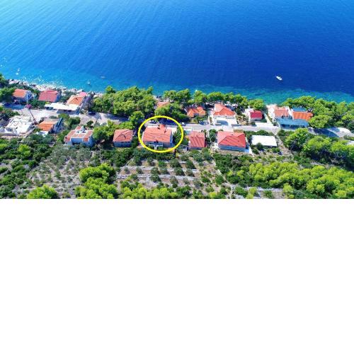 Seaside Apartments Markota