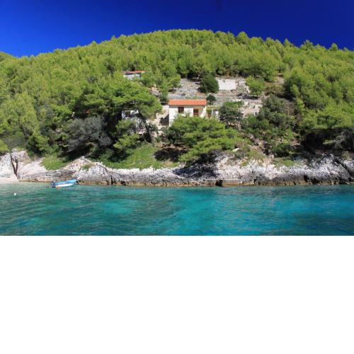 Secluded fisherman's cottage Cove Bratinja Luka, Korcula - 12599