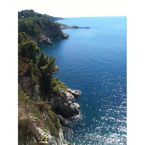 Serendipity apartment Dubrovnik centre-free parking