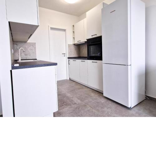 Spacious apartment Aria