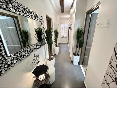 SPALATUM NEW CHIC apartments & city rooms with kitchen and terrace - CITY CENTRE