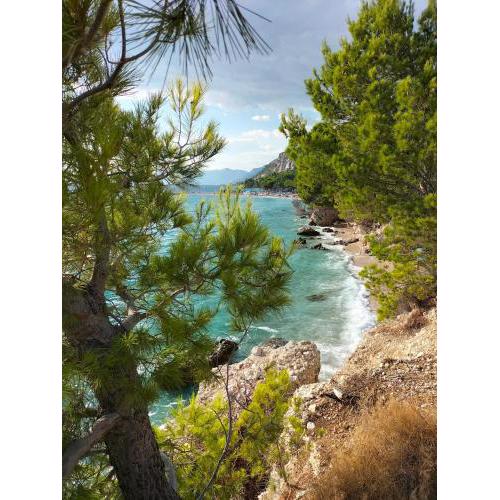 Studie-Apartment in Makarska 1, Kroatien