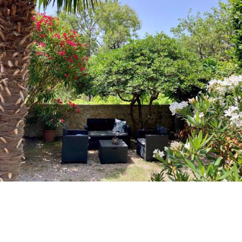Studio apartman Palma