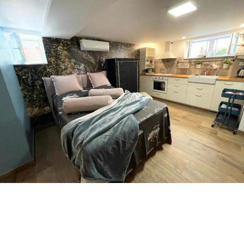 Studio apartman Pod Room