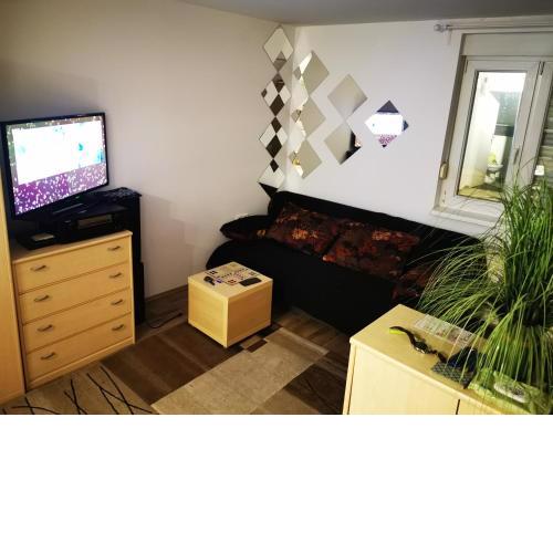 Studio apartman Drash