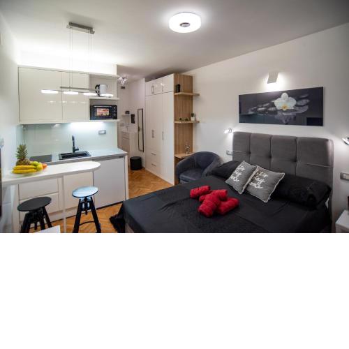 Studio Apartment Don