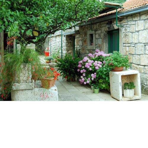 Studio apartment in Zrnovo with terrace, air conditioning, WiFi 3709-1