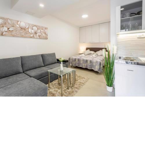 Studio Apartment Nikol