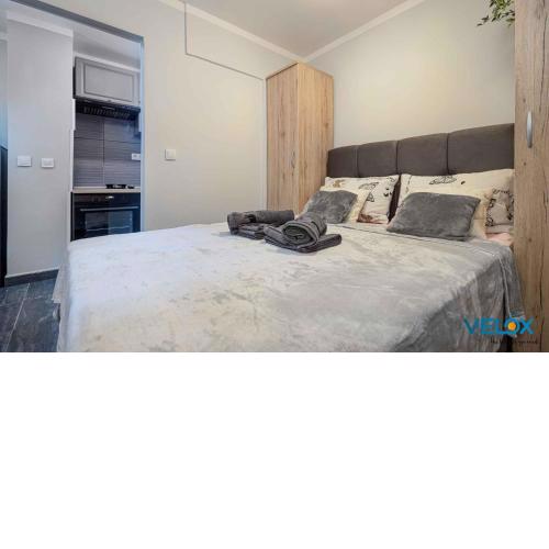 Studio in Porec - Istrien 44052