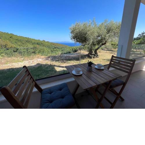 Studio Vesna with a terrace and sea view
