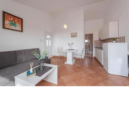 Vesna 2 city central apartment