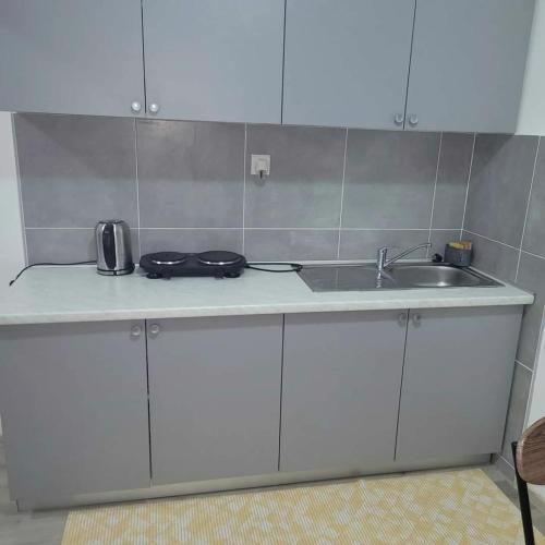 Vila Zale Apartmani