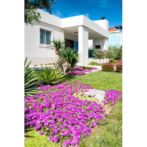 Villa VinSun