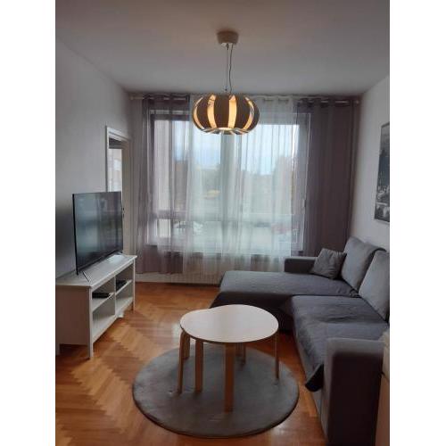 Well-equipped apartment with free parking