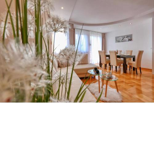 Zadar Dream Holiday Apartment