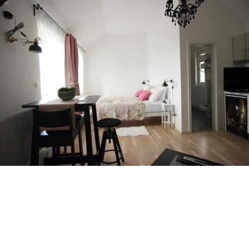 Zagreb Studio Apt No.1