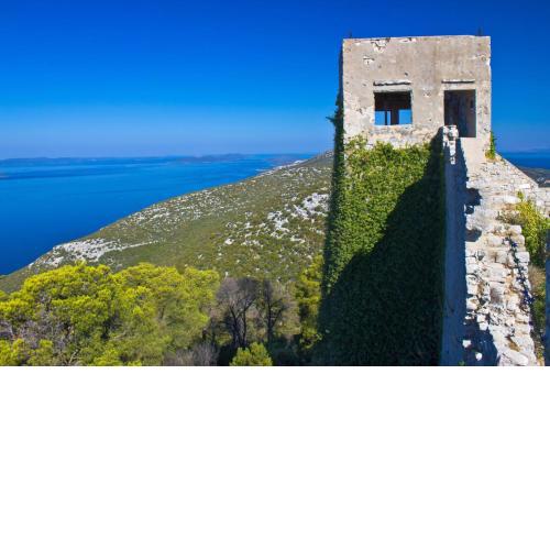 Apartment in Preko with sea view, terrace, air conditioning, Wi-Fi (4574-1)