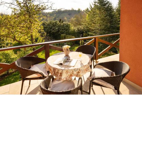 Apartment Villa Ema