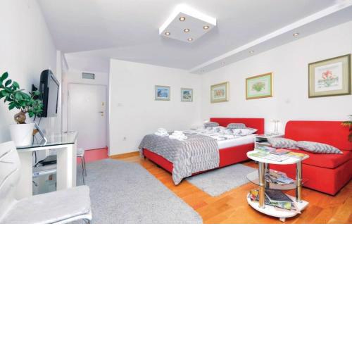 Apartments Asja- city view