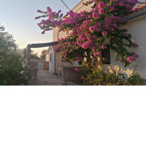 Charming 1 bedroom house on island Sestrunj