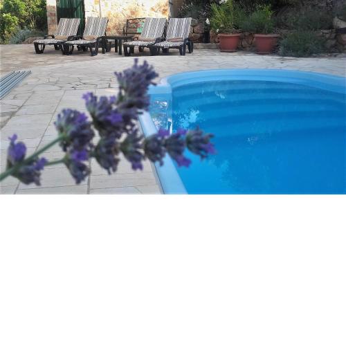 Lavender Hill Hvar Villa - pool, jacuzzi,sauna,BBQ