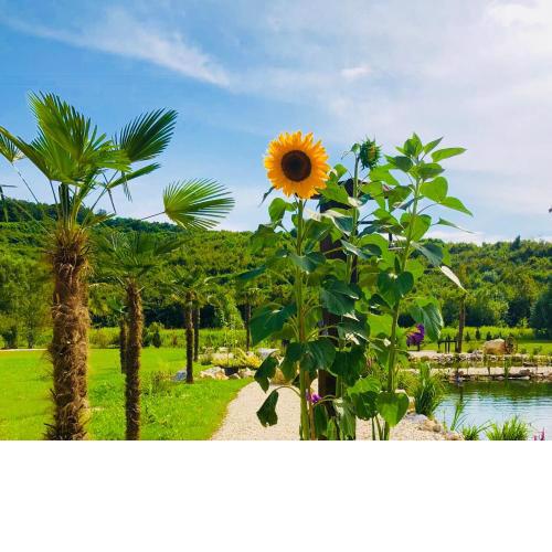Private Village Resort- Adults only