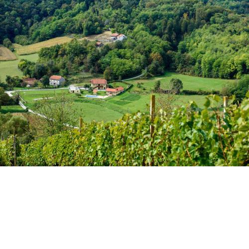 Krapina-Zagorje 